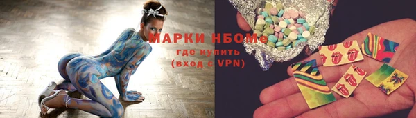 хмурый Абаза