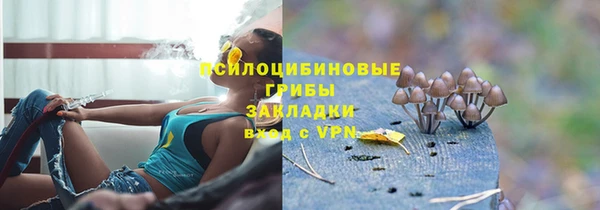 мяу мяу мука Абинск