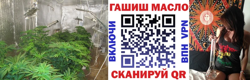 ТГК THC oil  где купить наркотик  Старая Русса 